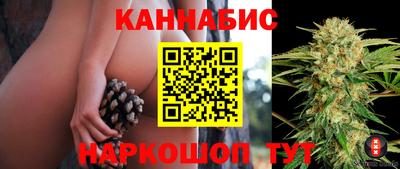 ALPHA PVP Гатчина