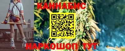 ALPHA PVP Гатчина