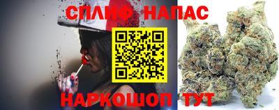ALPHA PVP Гатчина