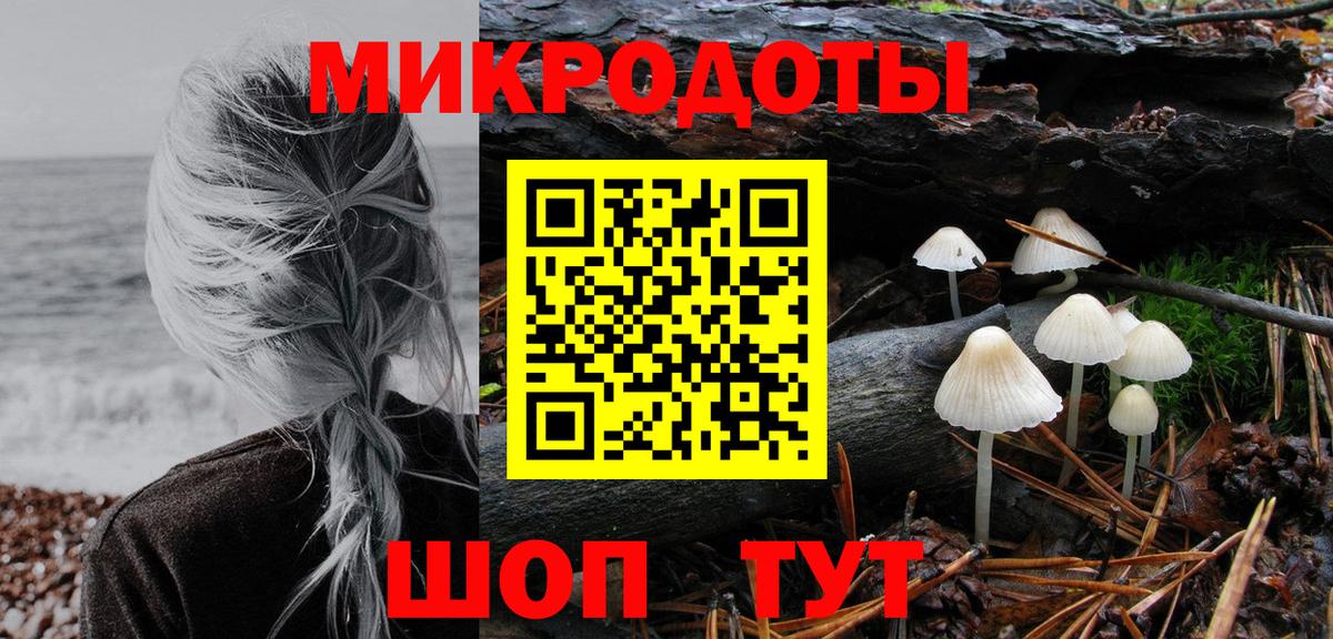 Галлюциногенные грибы Psilocybe  Вход с VPN  Бахчисарай 
