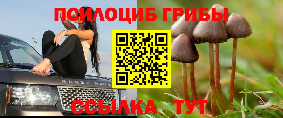 Галлюциногенные грибы Cubensis Бахчисарай