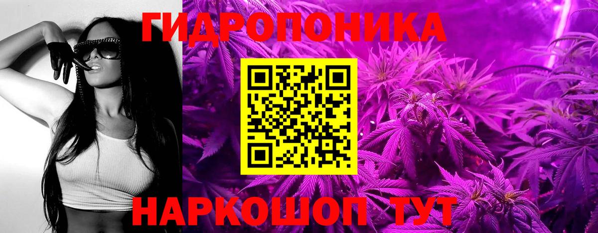 Каннабис планчик Бахчисарай
